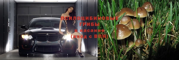 мескалин Карталы
